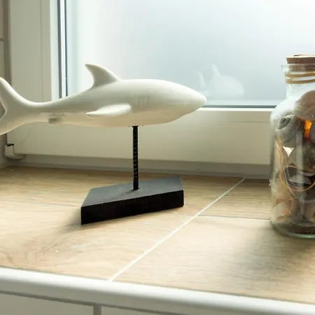 Meereswind In Norden